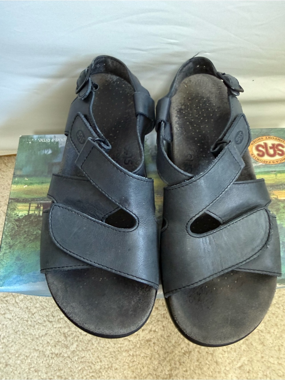 SAS Huggy Blue Sandals • Women's size 7